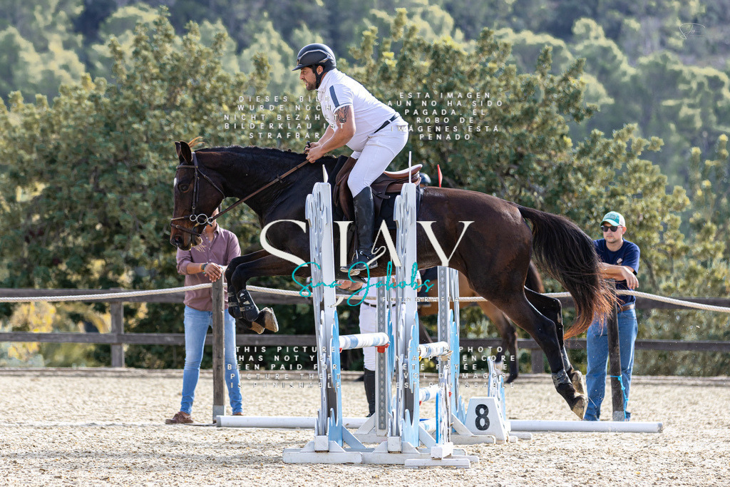 IMG_5832 | s-jay-photography - Realisiert mit Pictrs.com