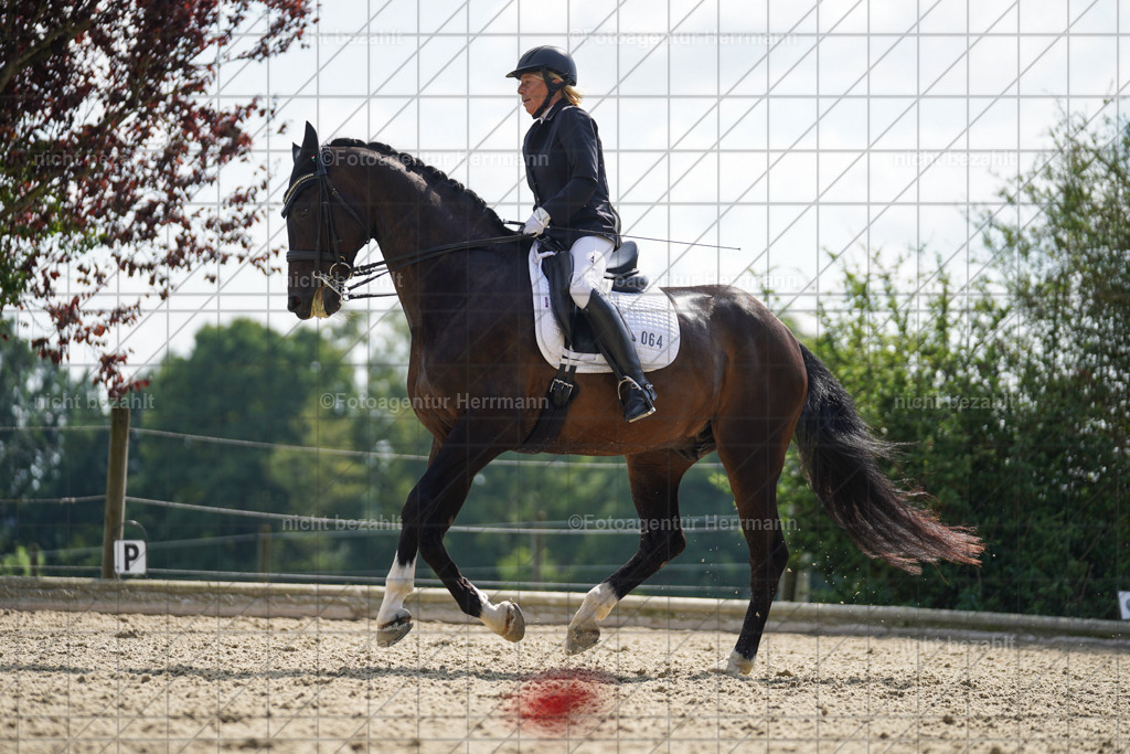20230826-FAH06072 | Forstinning, 2023, Dressurturnier, Turniersportbilder, Turnierfotografen Bayern, Fotoagentur Herrmann, Reitsportfotografie, Turnierbilder