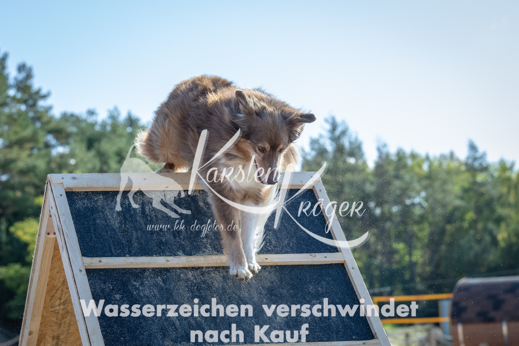 1213_ZZ92661-2 | kk-dogfotos