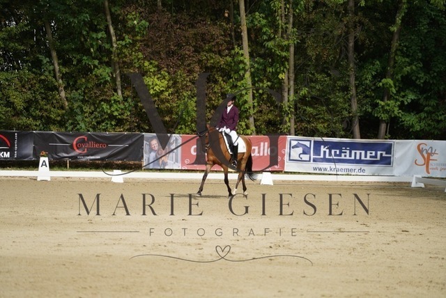 VAN00230 | Marie Giesen Fotografie - Realisiert mit Pictrs.com