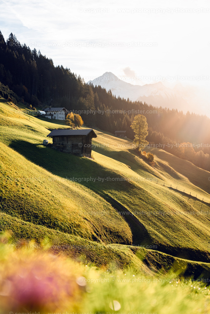 Herbstliches Tuxertal copyright  Thomas Pfister-8 | PHOTOGRAPHY BY THOMAS PFISTER
