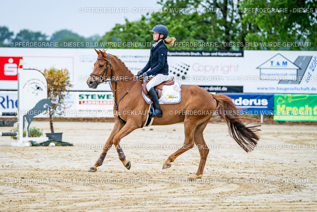 DSC01385 | Pferdegrafie