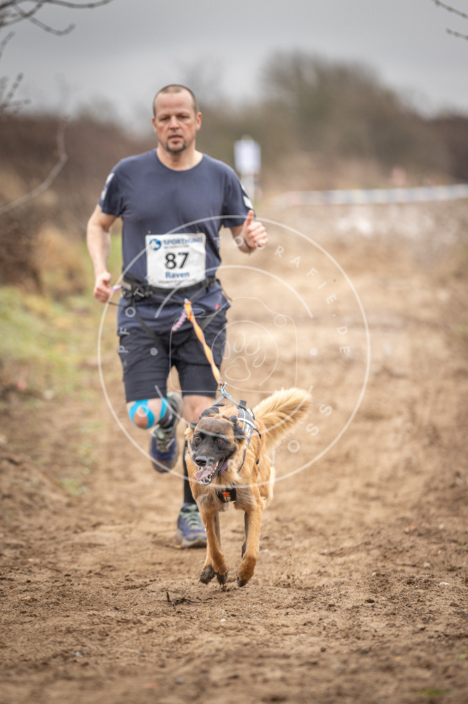 DV3A9919 | Hundefotografie, Tierfotograf, Pfotenfotografie, Fotoshooting Hund, Hunde Portrait, Hundesport, Hundeportraits, Heideshooting, Hunde, Sportfotograf, Hundefotograf, Turnierhundsport, THS,  - Realisiert mit Pictrs.com