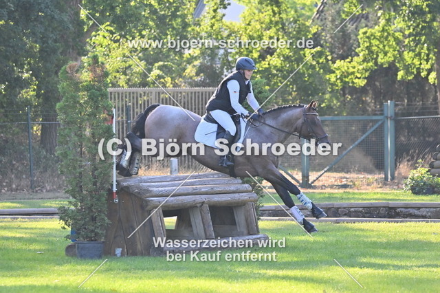 769_5184 | Björn Schroeder Pferdefotografie