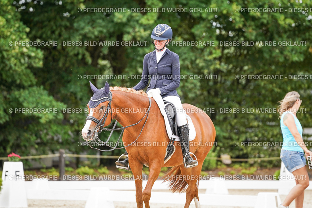 DSC07120 | Pferdegrafie