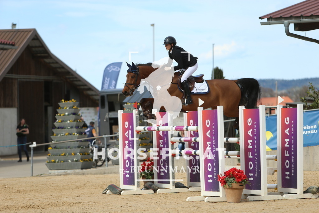 DL2Q6424 | Willkommen bei Brunnmayr - Design & Fotografie – Ihrem Spezialisten für Reitturniere und Pferdeveranstaltungen in Oberösterreich, Salzburg und Bayern! Seit über 17 Jahren sind wir leidenschaftlich dabei.