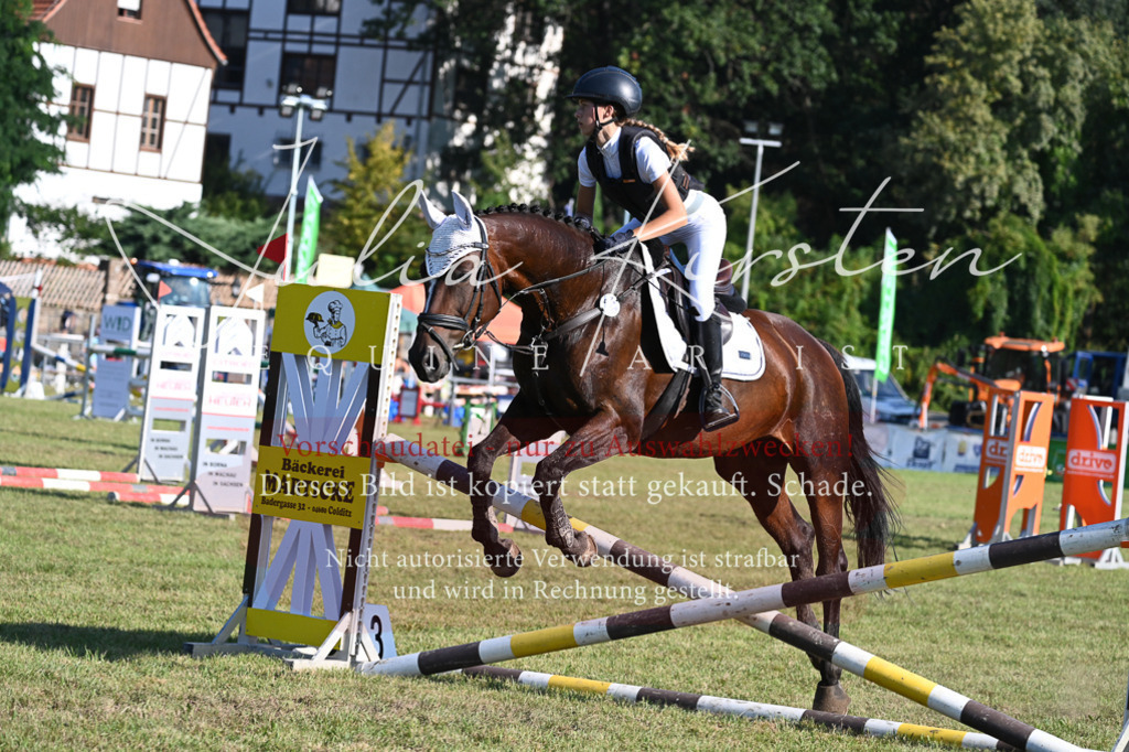 DSC_4932 | Pferde- und Turnierfotografie in Westsachsen. Pferdeportraits, Auftragszeichnungen und intuitive Kunst.