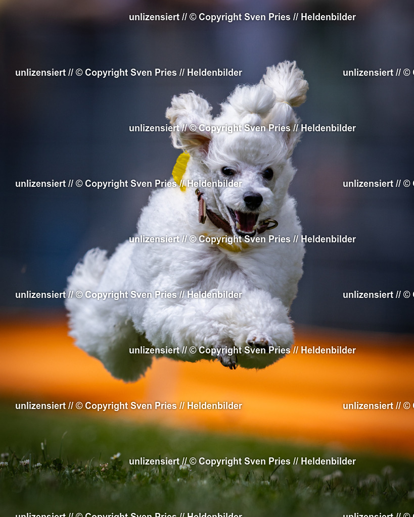 Sven Pries | 2025-05-29 - Pudelrennen KA-Durlach - Realisiert mit Pictrs.com