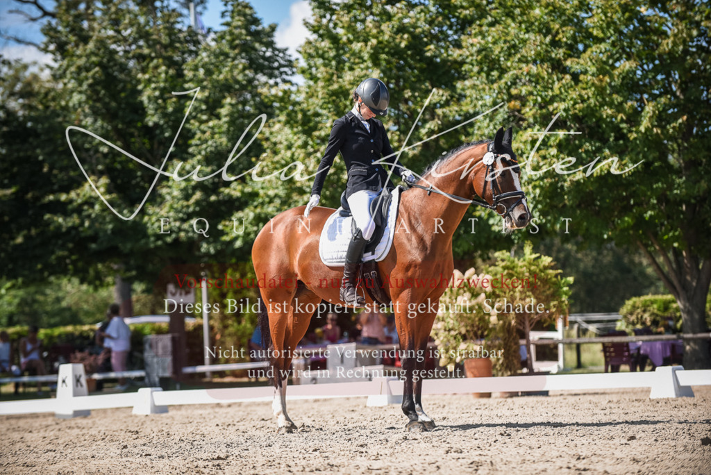 DSC_9472 | Pferde- und Turnierfotografie in Westsachsen. Pferdeportraits, Auftragszeichnungen und intuitive Kunst.