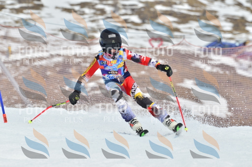 _ELE2844 | holidayphoto