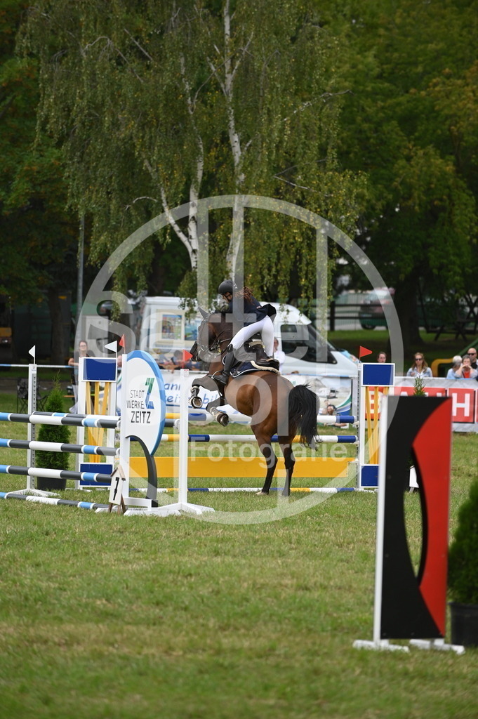 DSC_2274 | sattelsport - Realisiert mit Pictrs.com