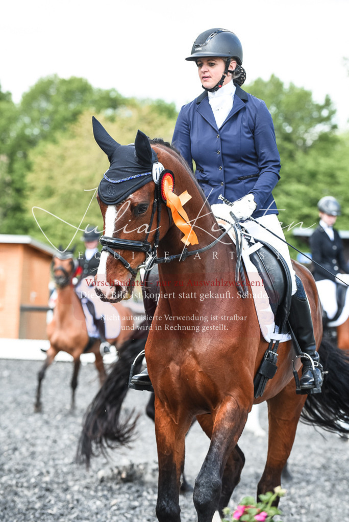 DSC_9082 | Pferde- und Turnierfotografie in Westsachsen. Pferdeportraits, Auftragszeichnungen und intuitive Kunst.