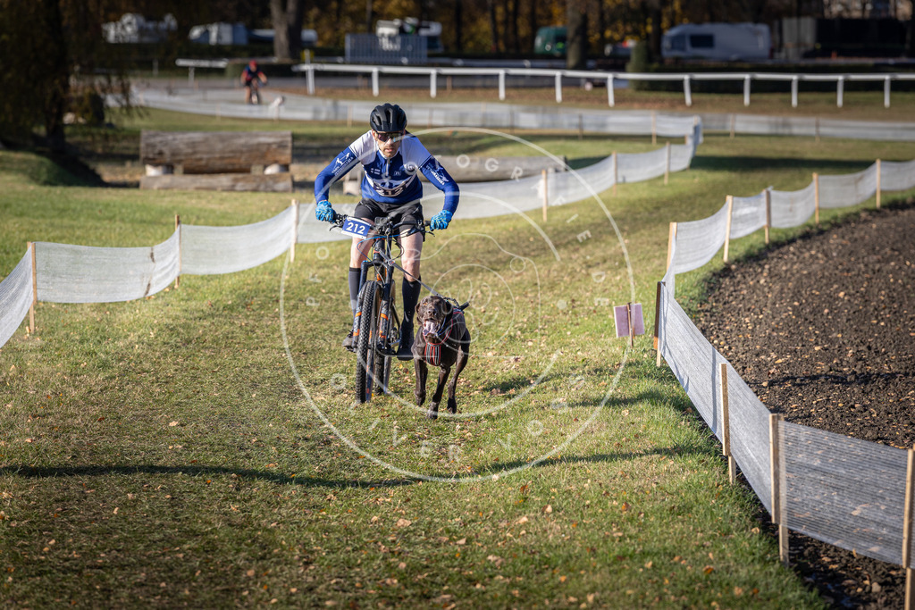 CaniXpix_DV3A3137 | Hundefotografie, Tierfotograf, Pfotenfotografie, Fotoshooting Hund, Hunde Portrait, Hundesport, Hundeportraits, Heideshooting, Hunde, Sportfotograf, Hundefotograf, Turnierhundsport, THS,  - Realisiert mit Pictrs.com