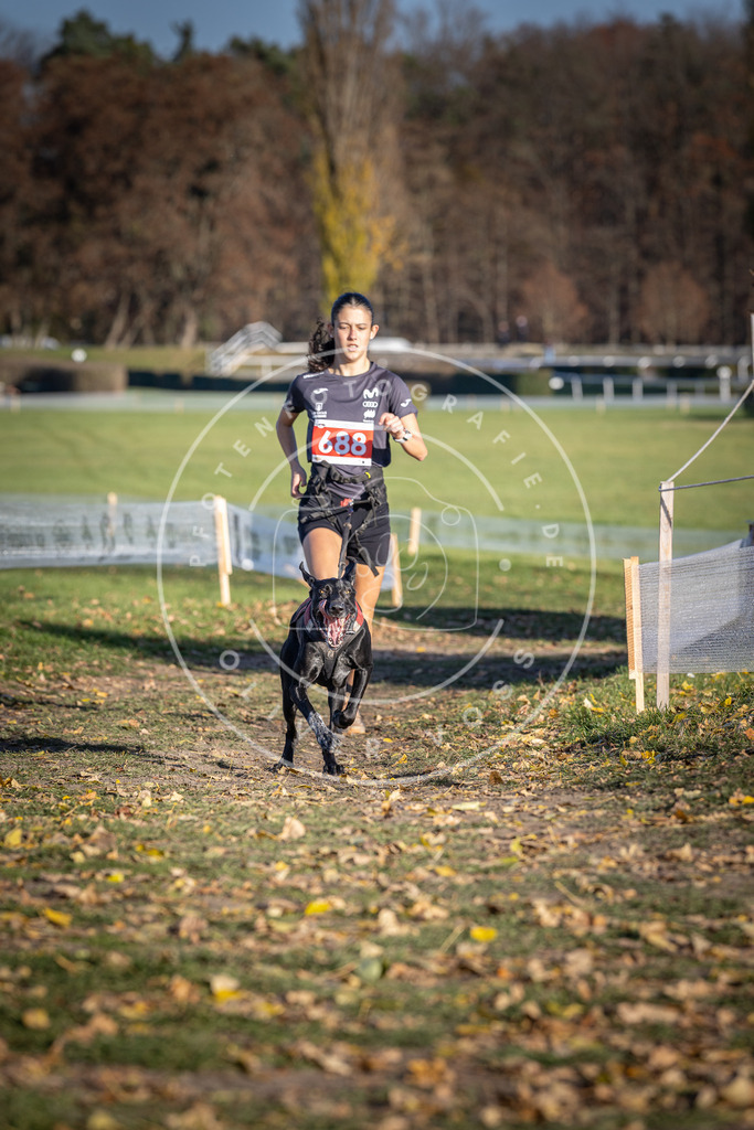 CaniXpix_DV3A1204 | Hundefotografie, Tierfotograf, Pfotenfotografie, Fotoshooting Hund, Hunde Portrait, Hundesport, Hundeportraits, Heideshooting, Hunde, Sportfotograf, Hundefotograf, Turnierhundsport, THS,  - Realisiert mit Pictrs.com