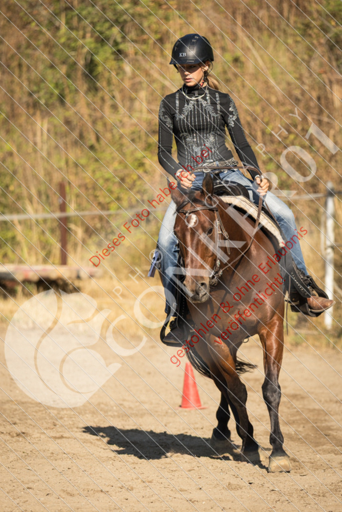 IMG_6711 | Sport-, Event- und Tierfotos in Profiqualität. Einfach auswählen, bestellen und herunterladen. Dein Moment – perfekt festgehalten.