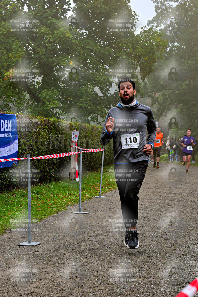 Z8N_1882 | la-psv - Realisiert mit Pictrs.com