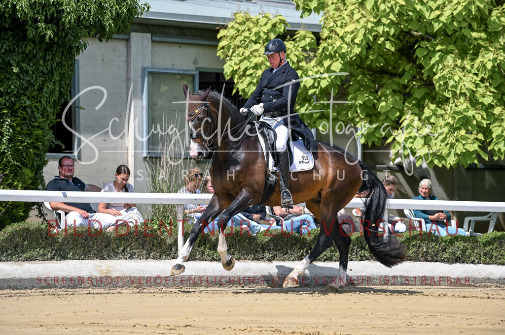 Schugtsche-Aluta25-58. Dressurprf.S1Kand.St.GeorgSpecial-4 | Schugtsche Fotografie - Realisiert mit Pictrs.com