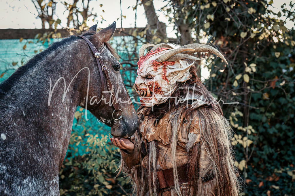 Weihnachts Shooting  | Weihnachts Fotografie im Pferdestall 