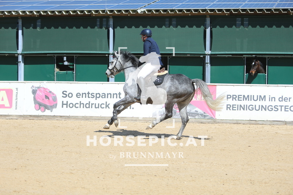 DL2Q9566 | Willkommen bei Brunnmayr - Design & Fotografie – Ihrem Spezialisten für Reitturniere und Pferdeveranstaltungen in Oberösterreich, Salzburg und Bayern! Seit über 17 Jahren sind wir leidenschaftlich dabei.