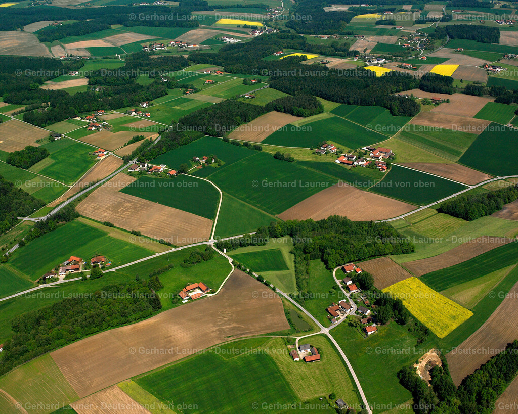 2517012 | Vogging, Falkenberg