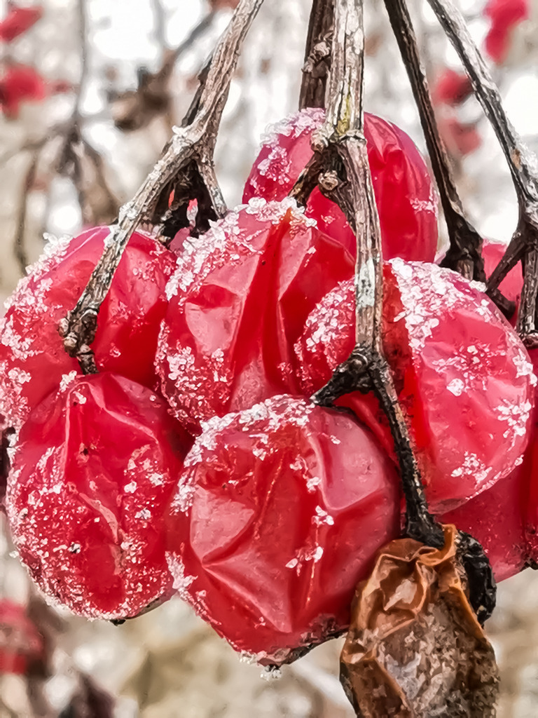 PSX_20230124_234858 | mtkfoto_ - Realisiert mit Pictrs.com