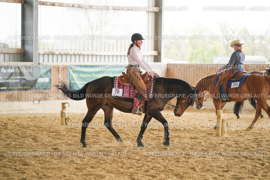 DSC05384 | Pferdegrafie