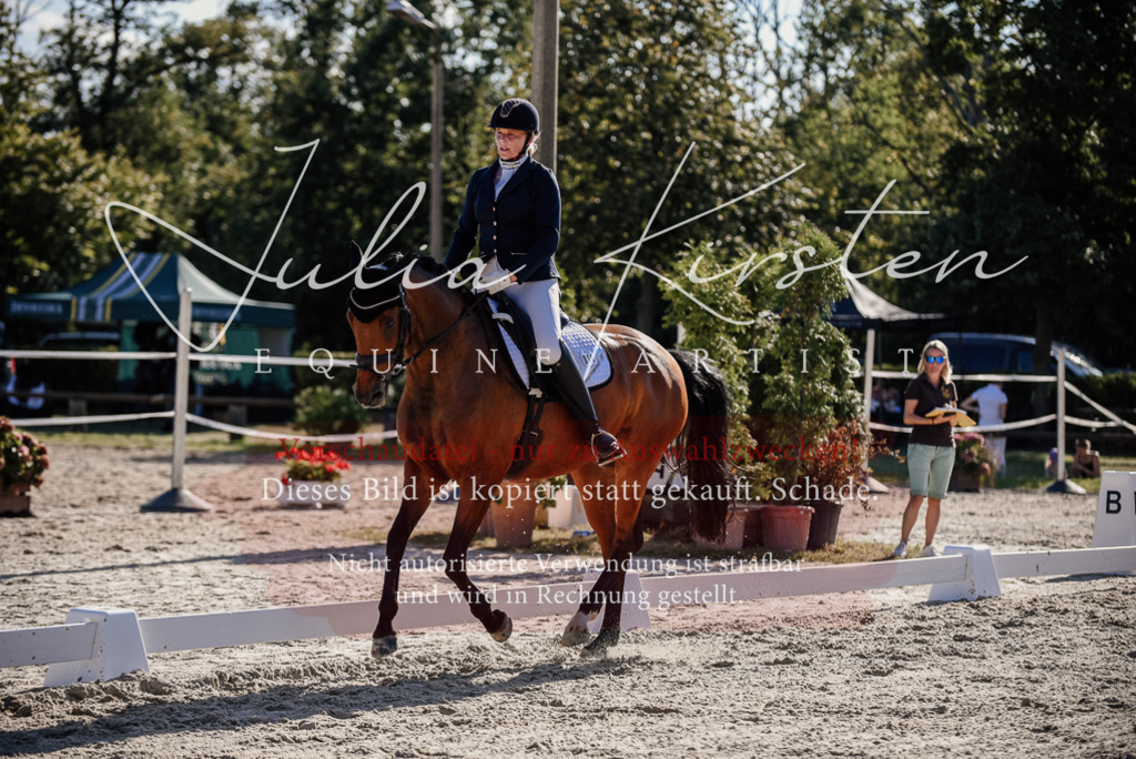 DSC_0412 | Pferde- und Turnierfotografie in Westsachsen. Pferdeportraits, Auftragszeichnungen und intuitive Kunst.