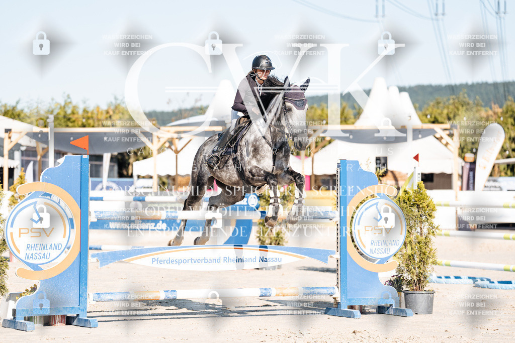 CK904659 | Turnierfotografie Pferdefotografie Trier Rheinland-Pfalz Pferdesport Reitsport Tierfotografie Sportfotografie Pferdevideo Pferdevideografie Equestrianvideography equestrianphotography  - Realisiert mit Pictrs.com