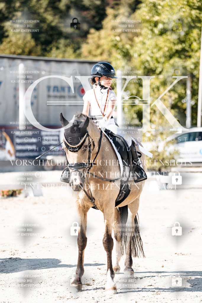 CK903226 | Turnierfotografie Pferdefotografie Trier Rheinland-Pfalz Pferdesport Reitsport Tierfotografie Sportfotografie Pferdevideo Pferdevideografie Equestrianvideography equestrianphotography  - Realisiert mit Pictrs.com