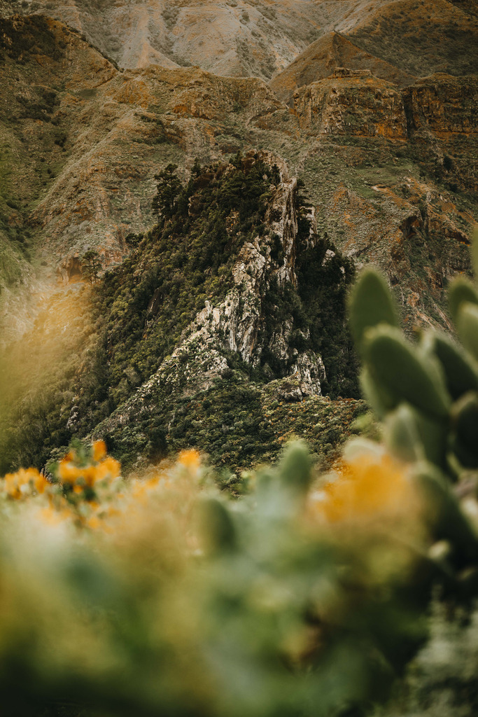 Teneriffa_by Leevke Draack_35 | Du suchst natürliche und atmosphärische Prints oder Leinwanddrucke? In diesem Shop gibt es alles, nur kein Mainstream. - Realisiert mit Pictrs.com