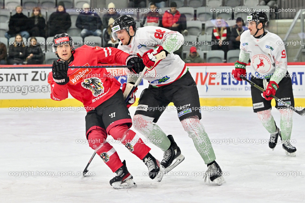 Österreich vs. Ungarn 14.12.2023 | Österreich vs. Ungarn 14.12.2023, Österreich vs. Ungarn  am 14.12.2023 in Klagenfurt (Heidi Horten Arena), Austria, (Photo by Bernd Stefan)