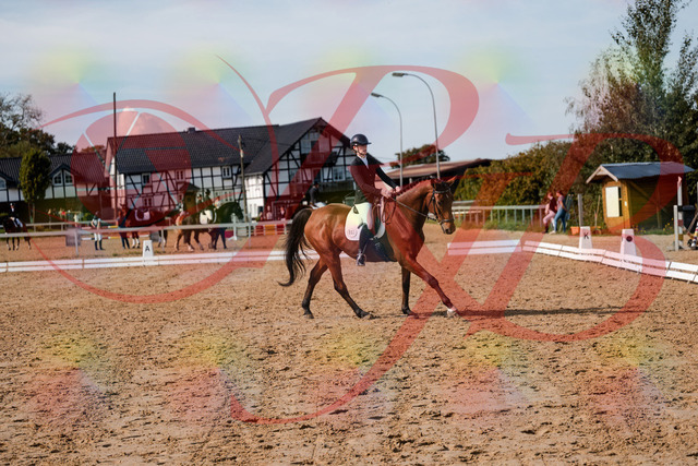 2026_10_03_Siefer-Hof_131143_Z63_75219777 | Professionelle Reitsport-, Turnier- und Eventfotografie von Robert Broda. Galerien mit ausgewählten und bearbeiteten Bildern direkt online ansehen und bestellen.
