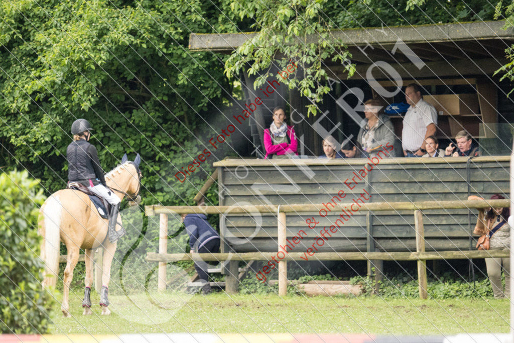 IMG_4324 | Hier findest Du viele Augenblicke aus den Bereichen der Turnier-, Sport- & Tierfotografie. Bilder mit deinem Liebling, Portrait-, Bewerbungs-, Businessbilder können ebenfalls schnell und einfach erstellt werden.