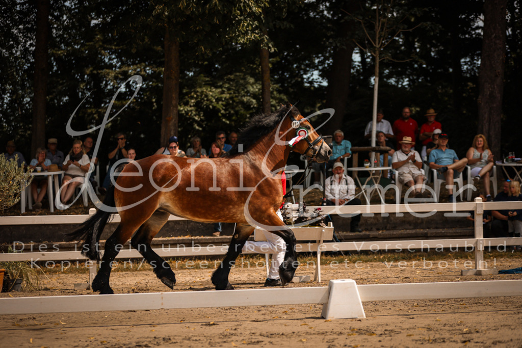 1.Sa00069 | Leoni Ertmer Photography - Realisiert mit Pictrs.com