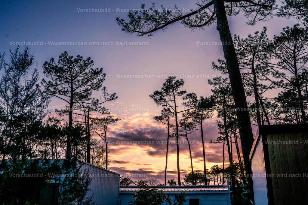 DSC01998-Enhanced-NR | marcuslinek