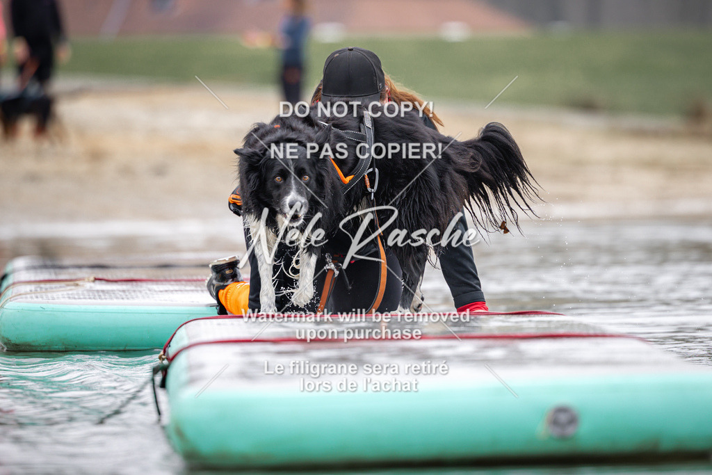 nelerasche_Hulsbeek_Sa1100-1130_267 | nelerasche