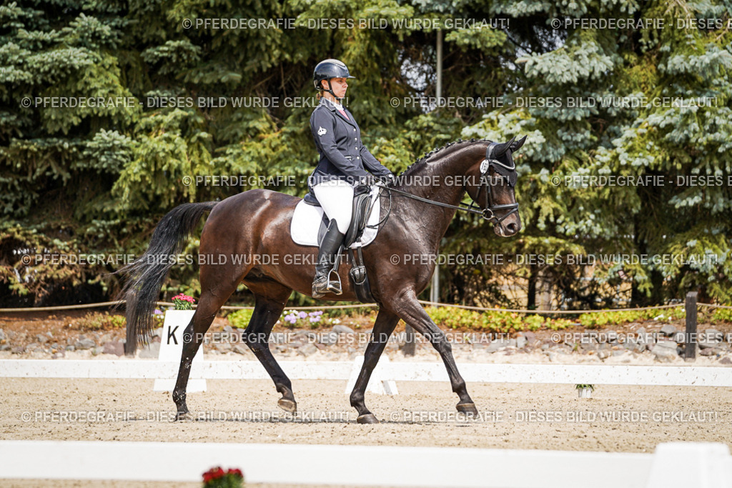 DSC02584 | Pferdegrafie