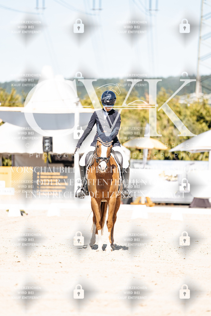 CK909120 | Turnierfotografie Pferdefotografie Trier Rheinland-Pfalz Pferdesport Reitsport Tierfotografie Sportfotografie Pferdevideo Pferdevideografie Equestrianvideography equestrianphotography  - Realisiert mit Pictrs.com