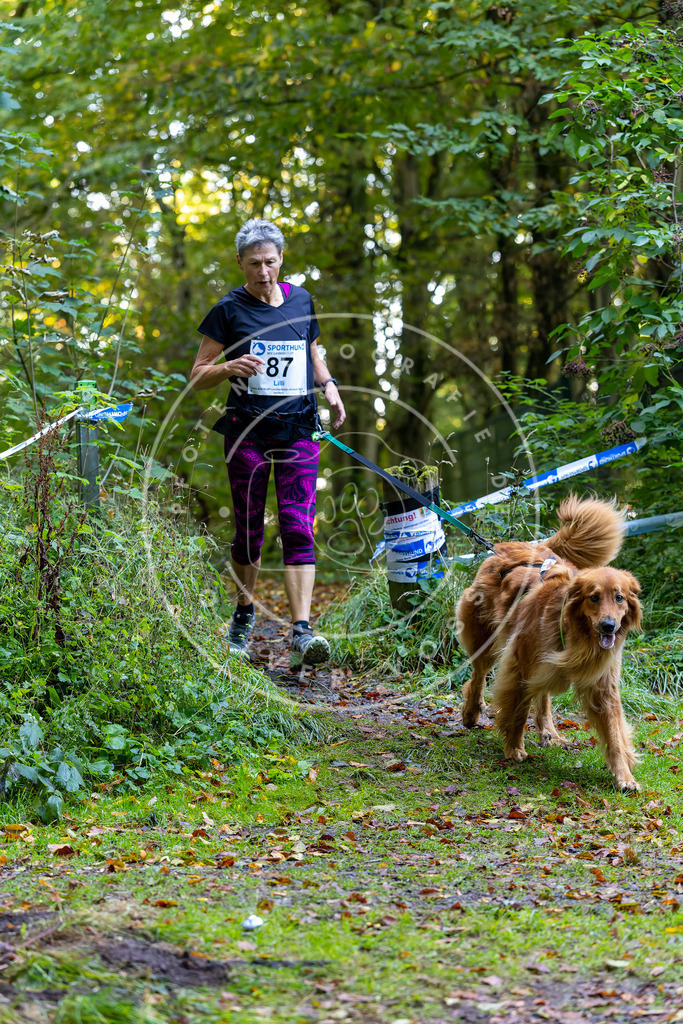 Pfotenfotografie_DV3A7634 | Hundefotografie, Tierfotograf, Pfotenfotografie, Fotoshooting Hund, Hunde Portrait, Hundesport, Hundeportraits, Heideshooting, Hunde, Sportfotograf, Hundefotograf, Turnierhundsport, THS,  - Realisiert mit Pictrs.com