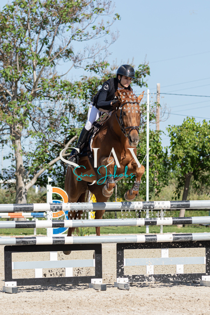 IMG_0984 | s-jay-photography - Realisiert mit Pictrs.com