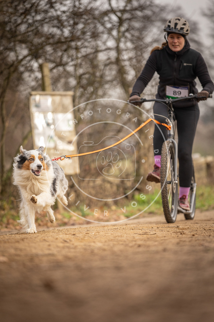 Pfotenfotografie_DV3A4231 | Hundefotografie, Tierfotograf, Pfotenfotografie, Fotoshooting Hund, Hunde Portrait, Hundesport, Hundeportraits, Heideshooting, Hunde, Sportfotograf, Hundefotograf, Turnierhundsport, THS,  - Realisiert mit Pictrs.com