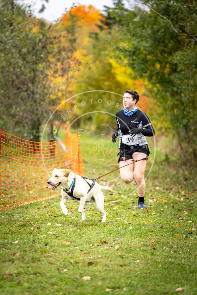 Pfotenfotografie_DV3A2274 | Hundefotografie, Tierfotograf, Pfotenfotografie, Fotoshooting Hund, Hunde Portrait, Hundesport, Hundeportraits, Heideshooting, Hunde, Sportfotograf, Hundefotograf, Turnierhundsport, THS,  - Realisiert mit Pictrs.com