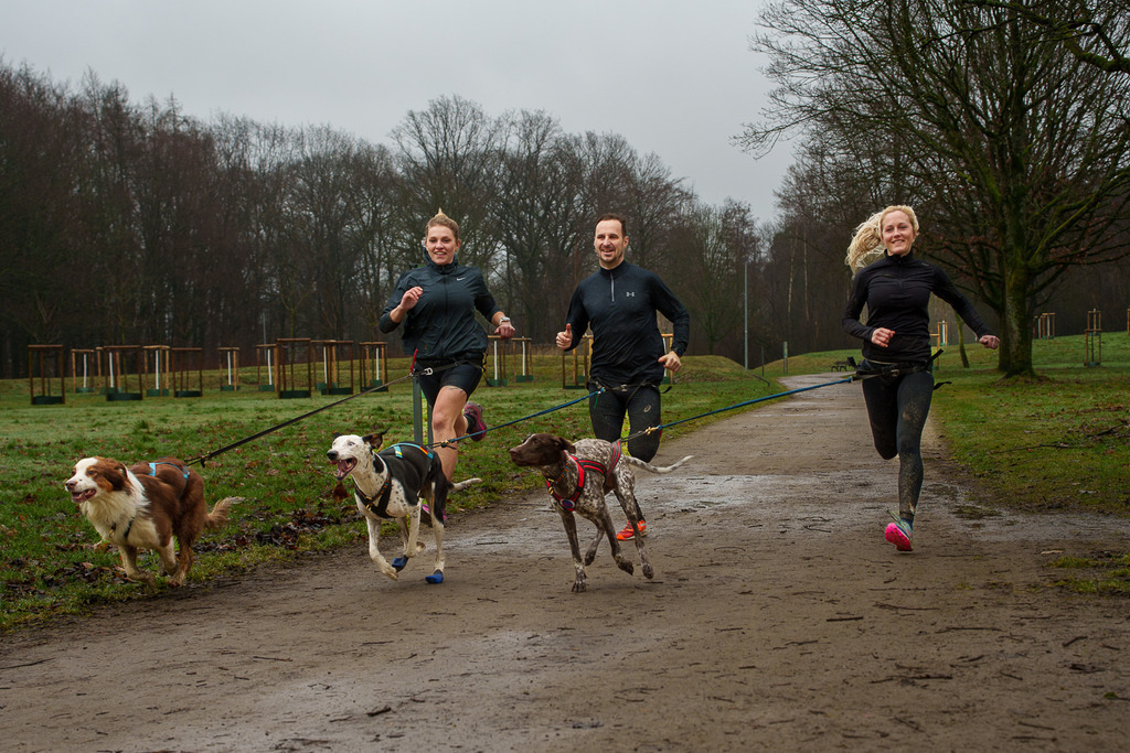 allesWIRTHgut Tierfotografie - 7IV06463-Verbessert-RR | Professionelle Tierfotografie in Mönchengladbach von Daniel Wirth (allesWIRTHgut). Liebevolle & natürliche Bilder von Hunden & Katzen für unvergessliche Erinnerungen.