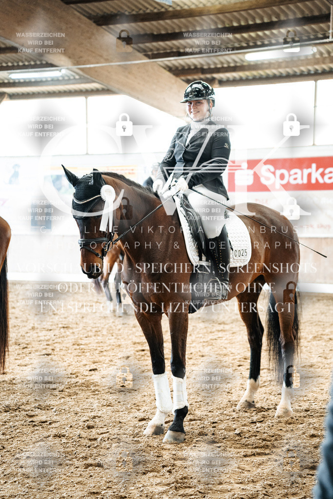 CK703137 | Turnierfotografie Pferdefotografie Trier Rheinland-Pfalz Pferdesport Reitsport Tierfotografie Sportfotografie Pferdevideo Pferdevideografie Equestrianvideography equestrianphotography  - Realisiert mit Pictrs.com