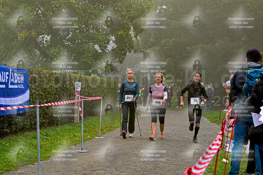 Z8N_1833 | la-psv - Realisiert mit Pictrs.com