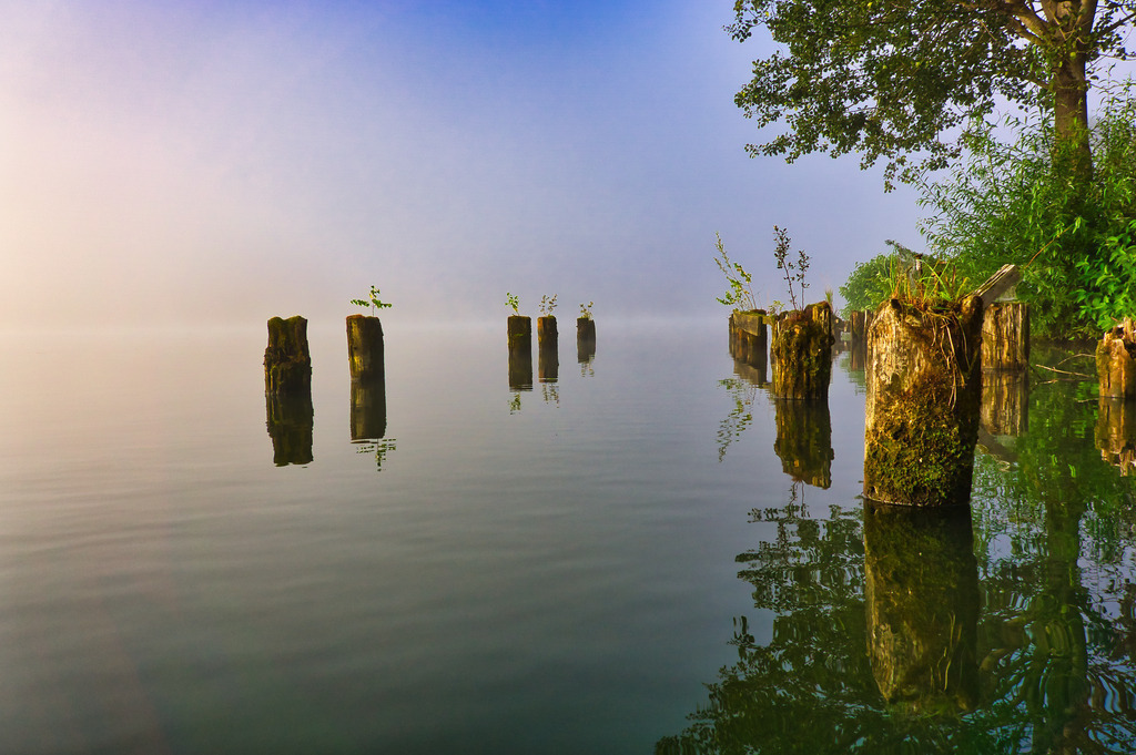 Alte Holzpfähle im See | walter-wagner-fotografie
