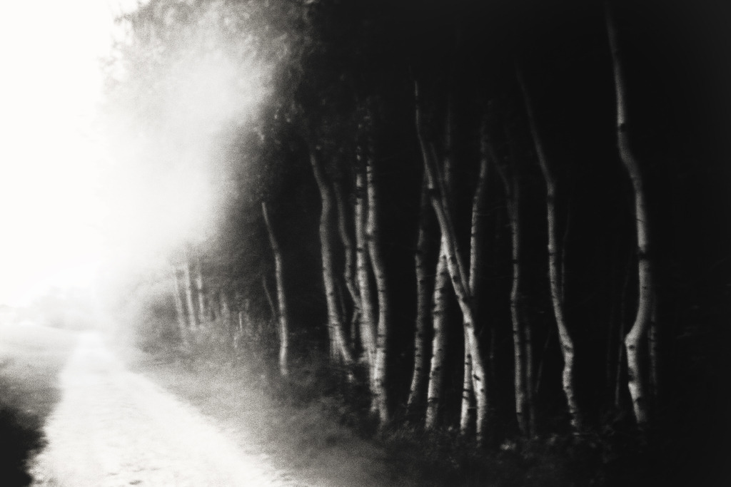 island_04_dorit_fuhg | Stimmungsvolle Fotografien von Dorit Fuhg. Kaufen Sie bequem hochwertige Fine-Art Drucke, Wandbilder und Kalender hier im Online-Shop. - Realisiert mit Pictrs.com