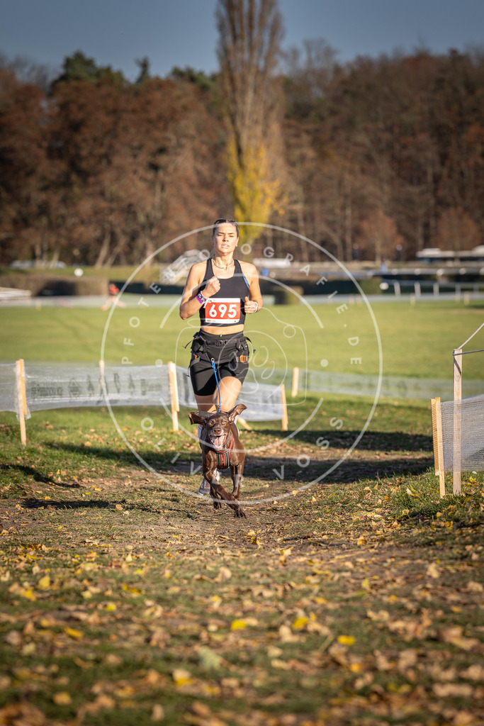 CaniXpix_DV3A1367 | Hundefotografie, Tierfotograf, Pfotenfotografie, Fotoshooting Hund, Hunde Portrait, Hundesport, Hundeportraits, Heideshooting, Hunde, Sportfotograf, Hundefotograf, Turnierhundsport, THS,  - Realisiert mit Pictrs.com