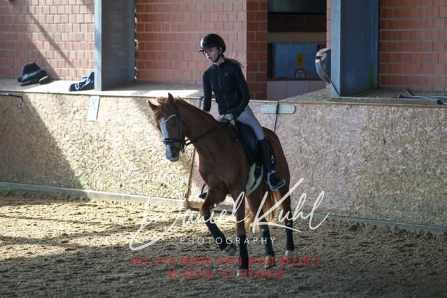 DKP42167 | Turniersportfotografie; Pferdefotografie; Dressurfotografie