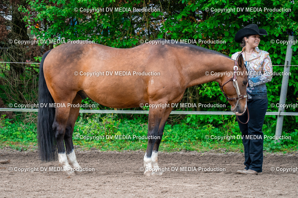 BA300231 | dv-media-shop - Realisiert mit Pictrs.com